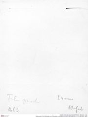 Historisches Foto (Rückseite) von Pithonoton sp. (NHMW-AFW-GEO-BACHMAYER-FOTO-1990-0041-1683)